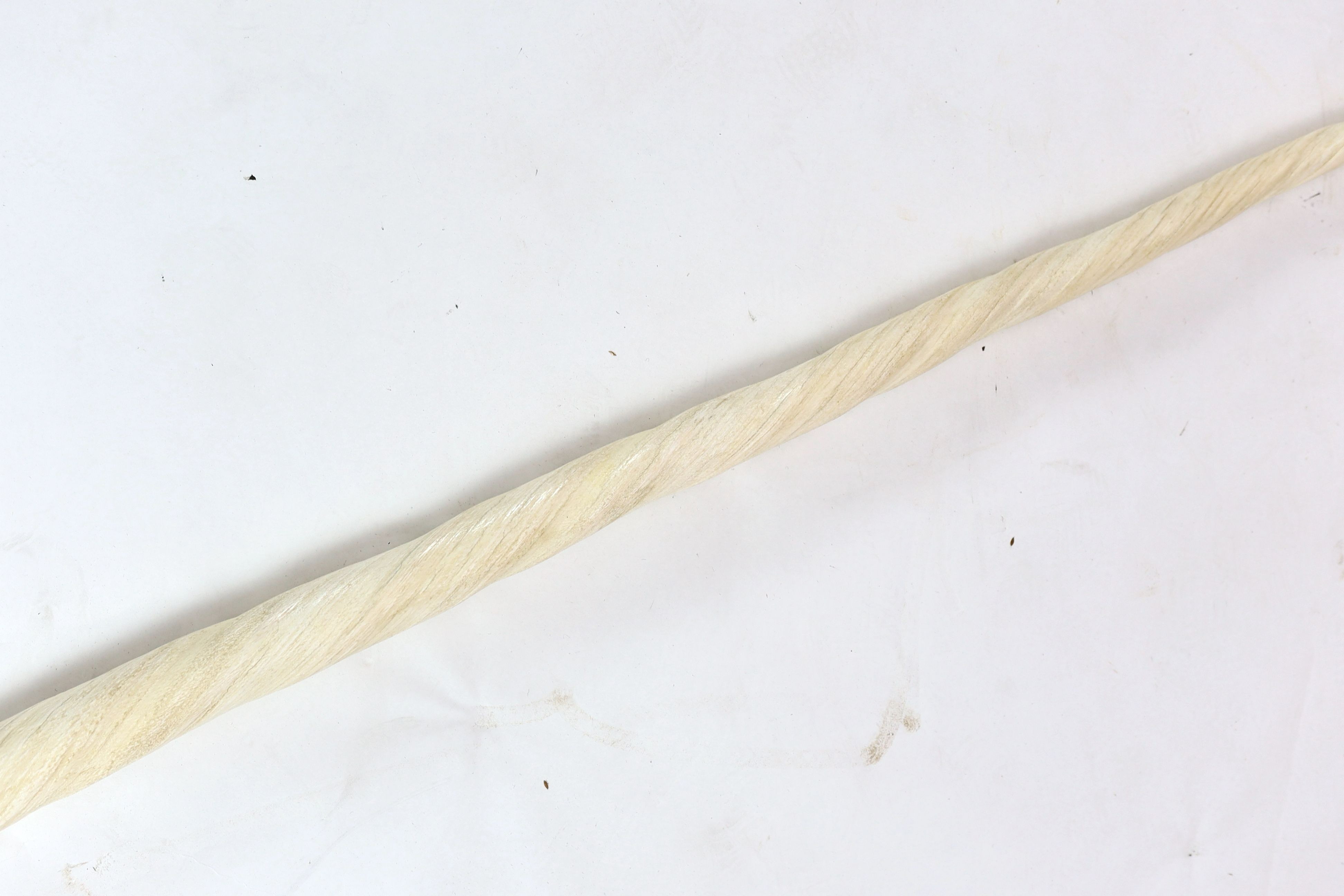 A large unworked Narwhal tusk, c.1970, 257 cm long (8ft 5.5in.)